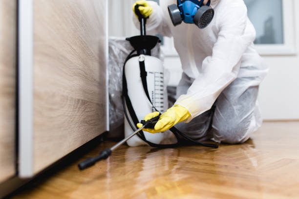 Best Exterminator Services  in Dublin, VA