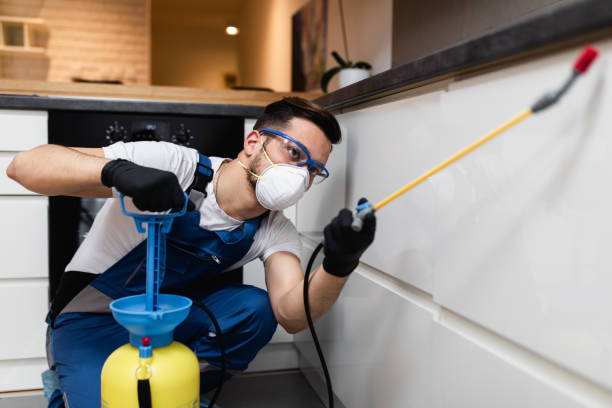 Best Pest Prevention Services  in Dublin, VA