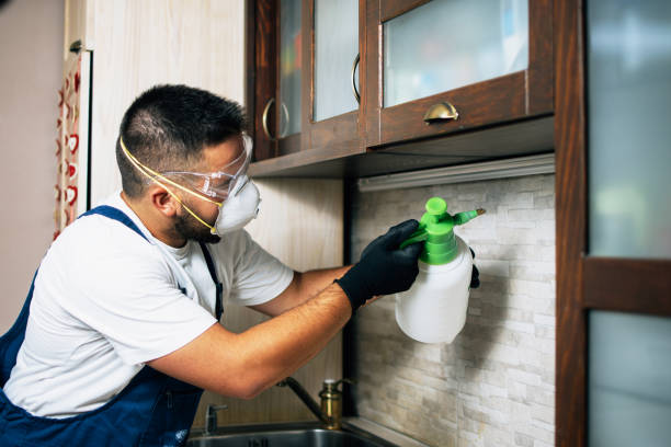 Best Emergency Pest Control  in Dublin, VA