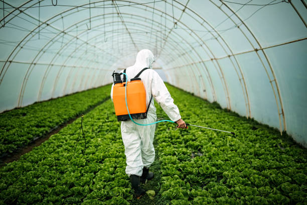 Best Local Pest Control Services  in Dublin, VA