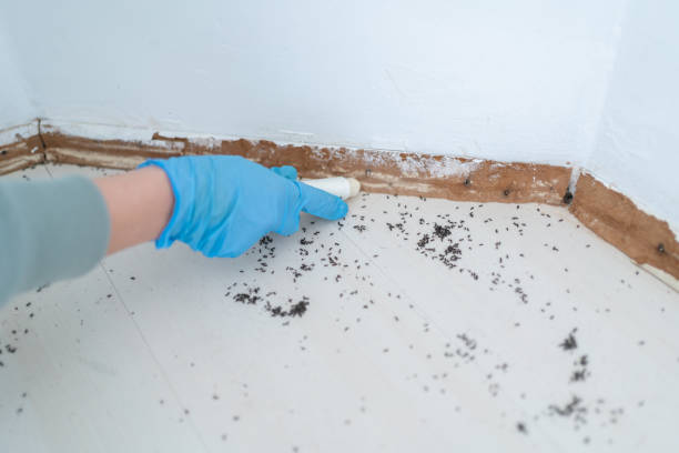 Dublin, VA Pest Control Company